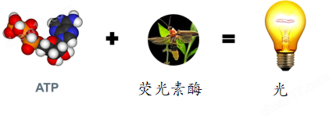 制药废水毒性检测/预警设备